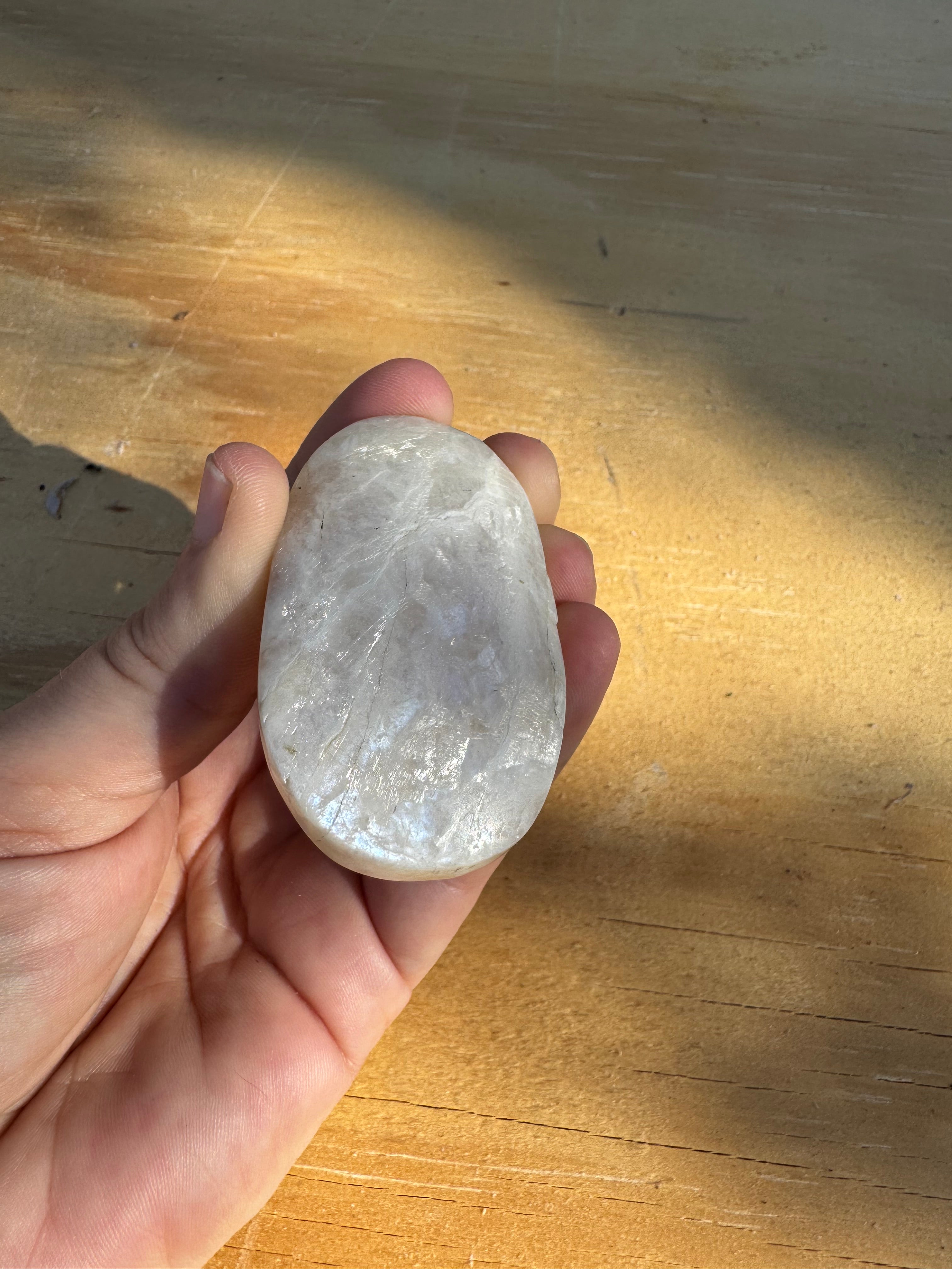 Moonstone Palm - Blue Flash - B