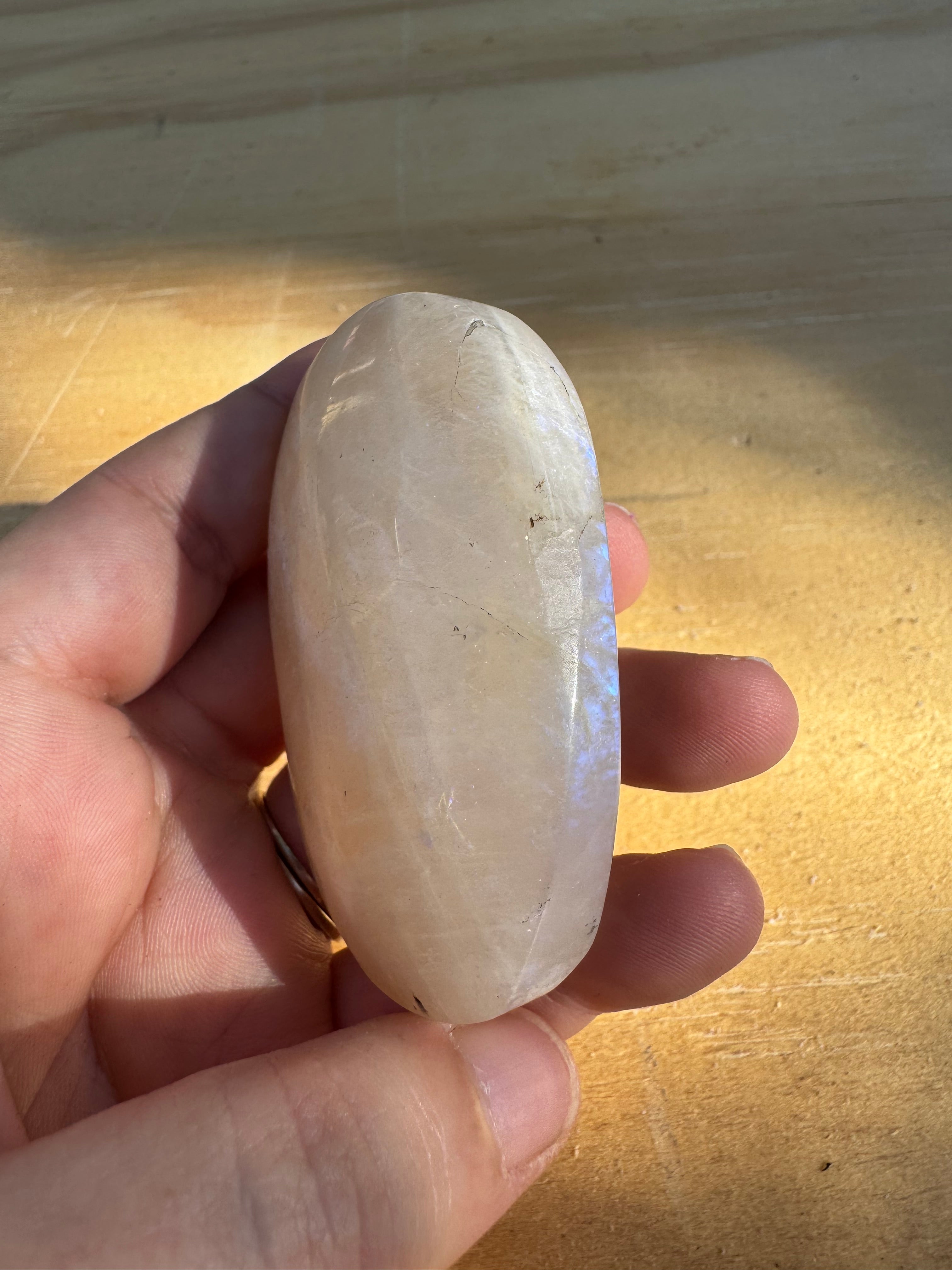 Moonstone Palm - C