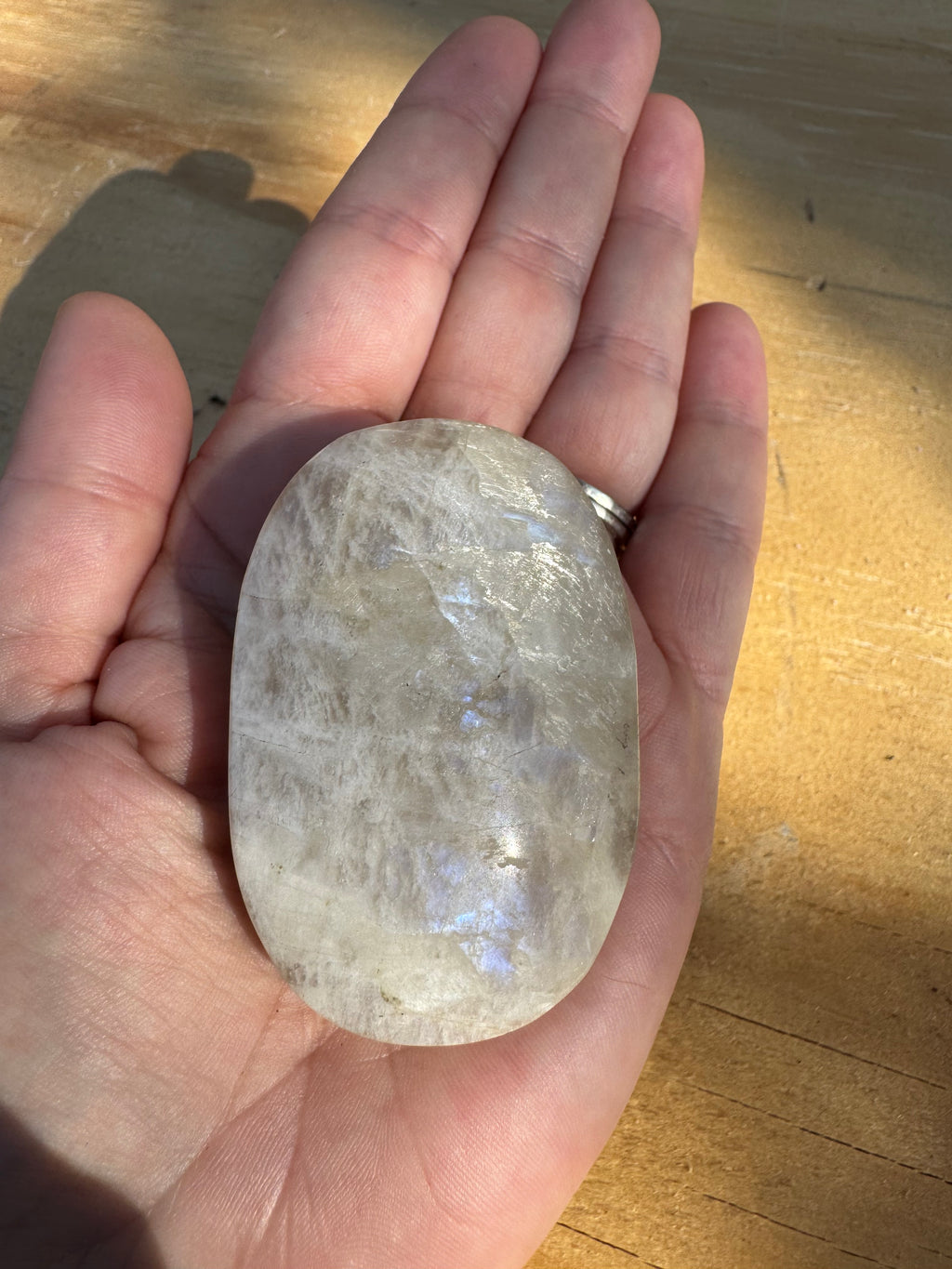 Moonstone Palm - Blue Flash - B