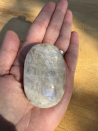 Moonstone Palm - Blue Flash - B