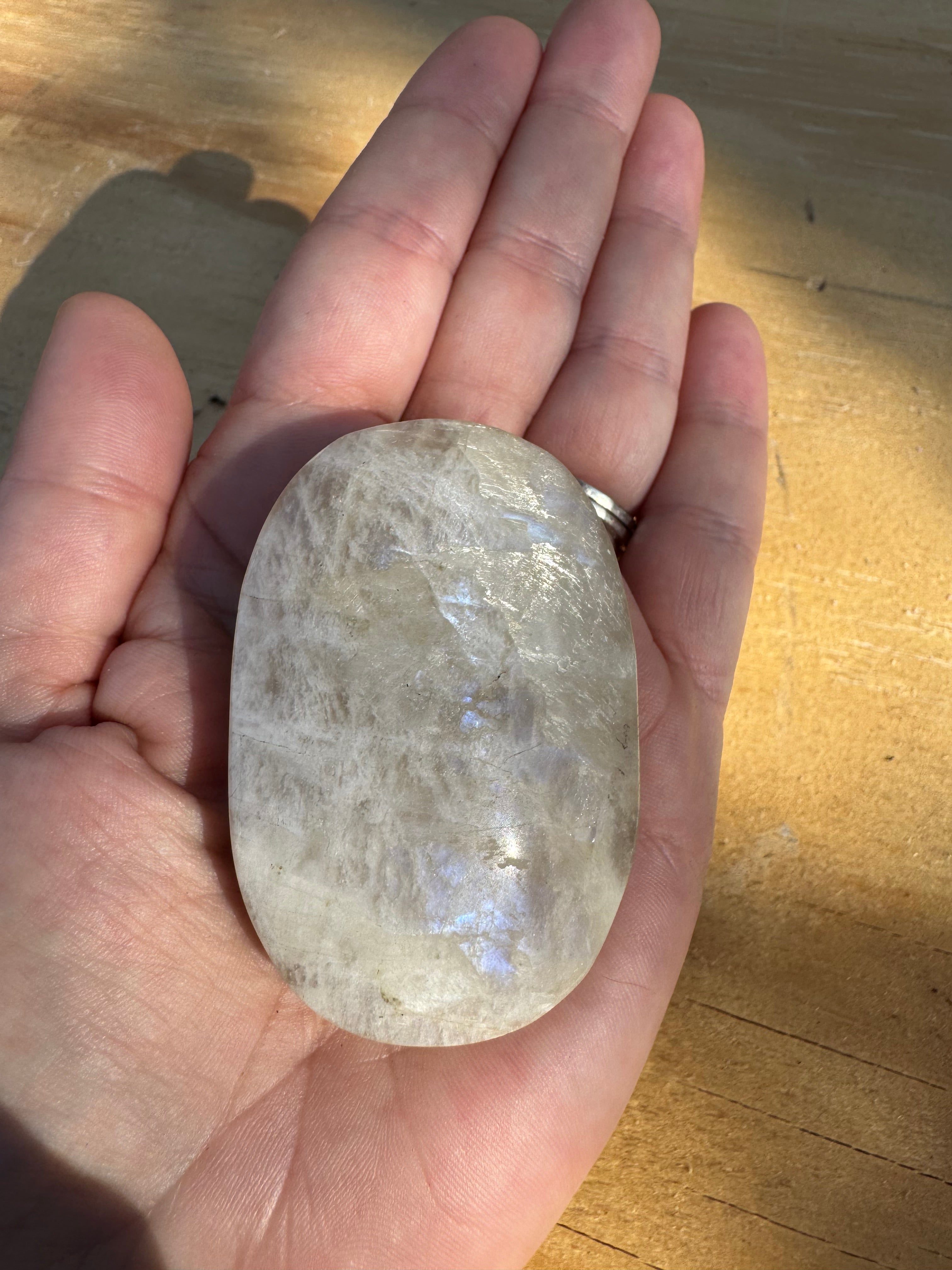 Moonstone Palm - Blue Flash - B