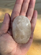 Moonstone Palm - C