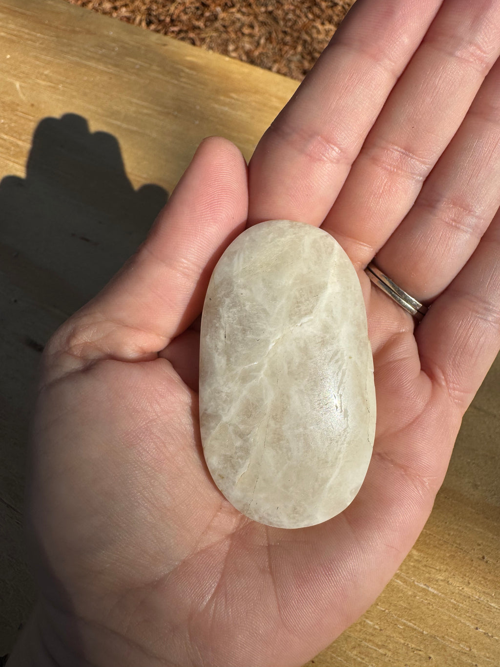 Moonstone Palm - A