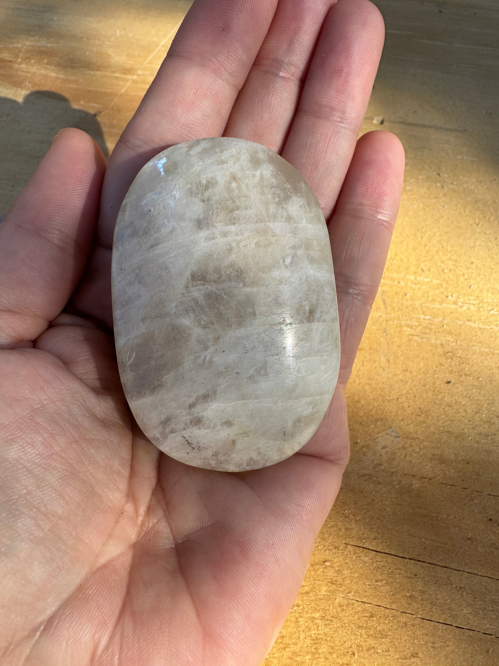 Moonstone Palm - Blue Flash - B