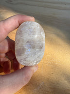 Moonstone Palm - Blue Flash - B